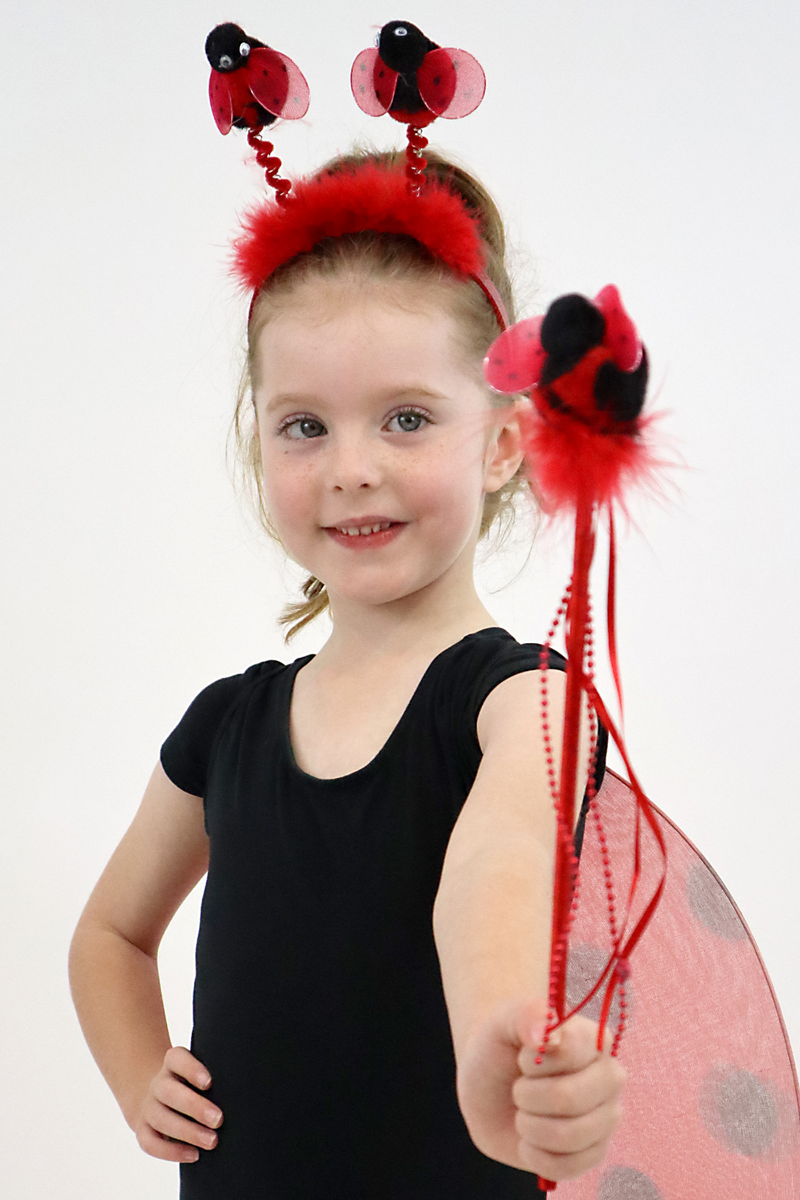 Ladybug Dress-Up Imaginative Play Set – Tiny Tutus