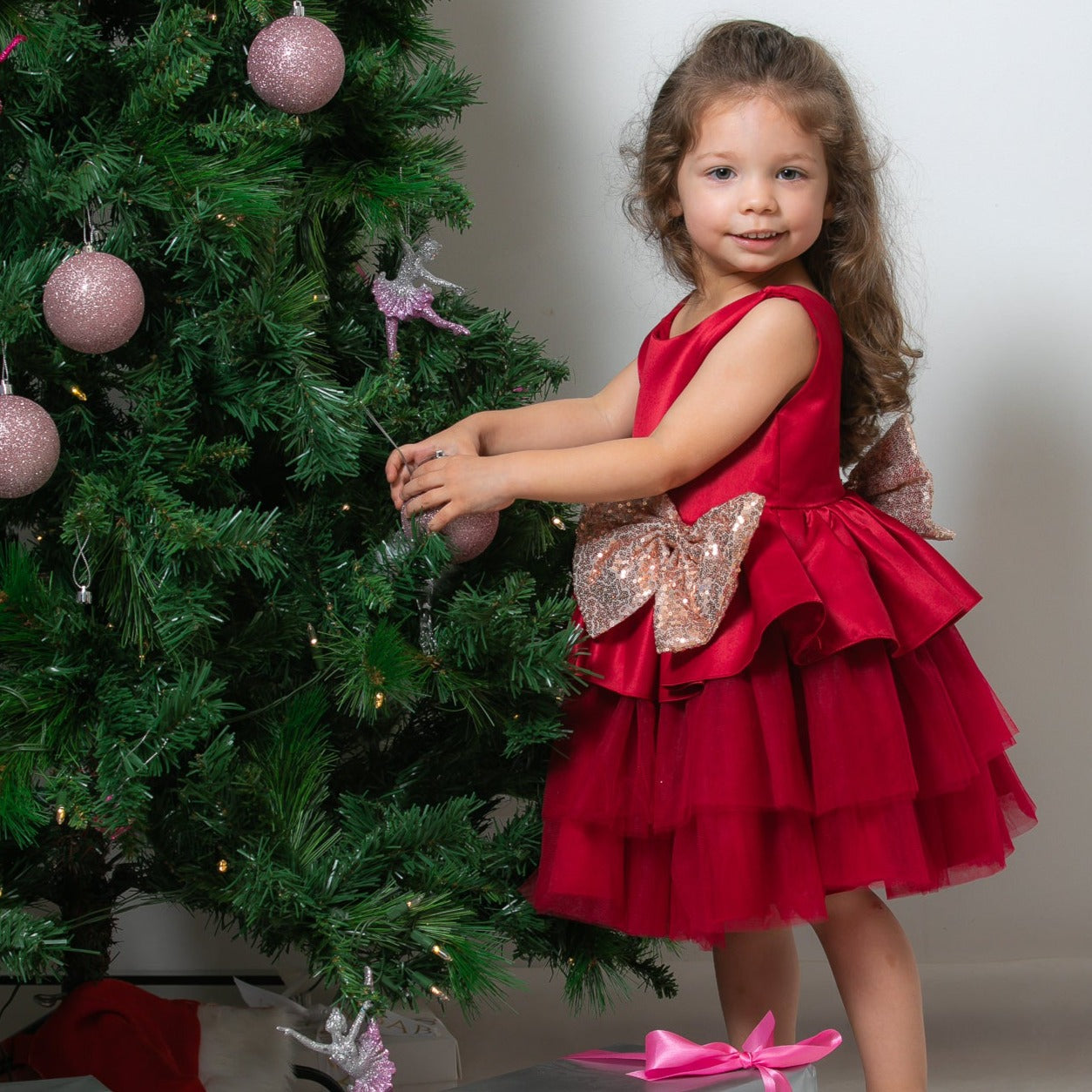 Charlotte Holly Red Tutu Party Dress & Flower Girl Dress Christmas Dress Tiny Tutus Charlotte Holly Red Tutu Party Dress & Flower Girl Dress Christmas Dress Tiny Tutus